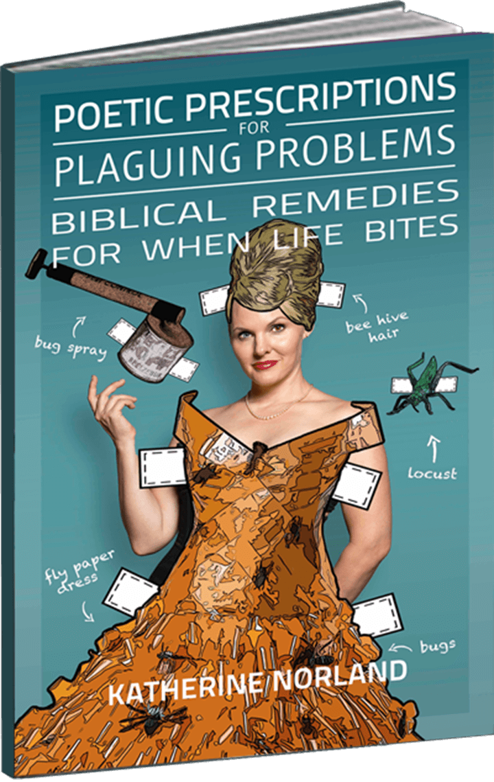 Poetic Prescriptions for Plaguing Problems: Biblical Remedies for When Life Bites!